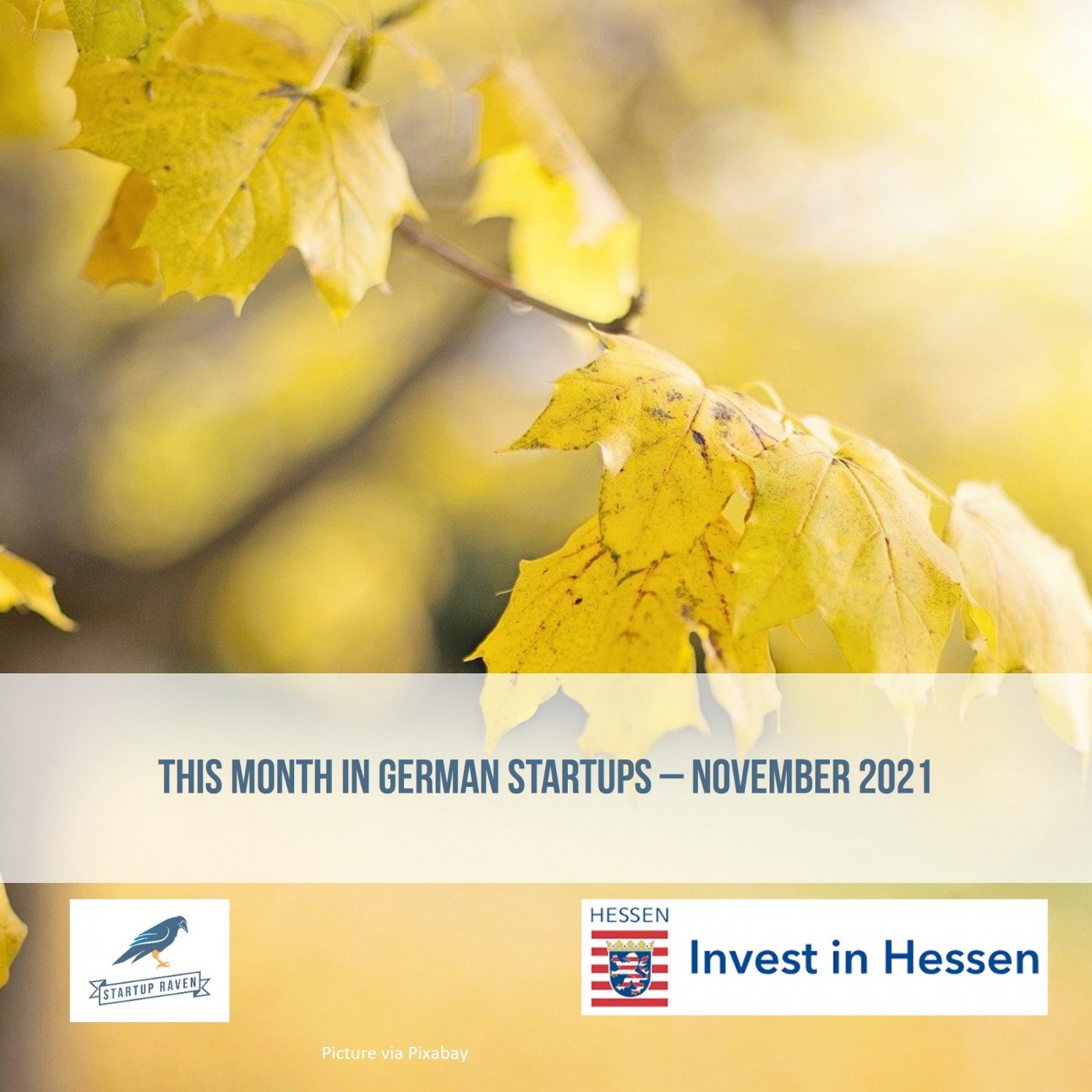 Tech Startups Germany  - Startups and Venture Capital